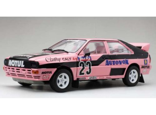 1:18 1987 Audi Quattro A1 #23 Cathy Caly French Rallycross Championship.